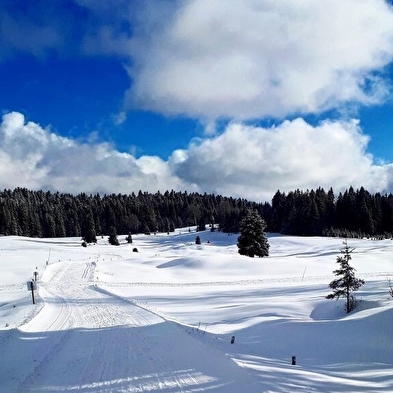 Piste de ski de fond de Lachat : petite verte