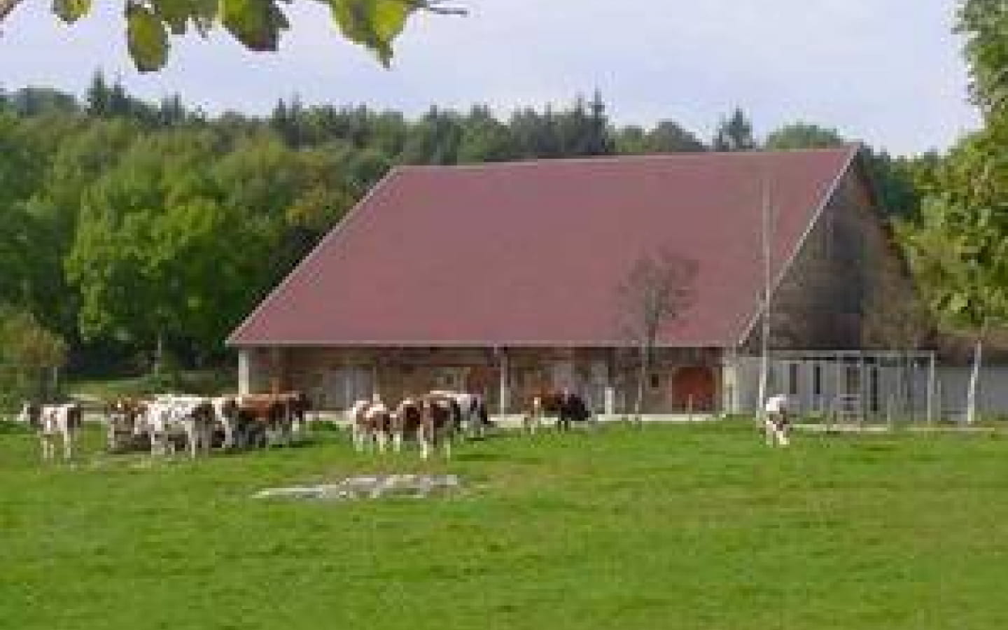 Le sentier de Cessay