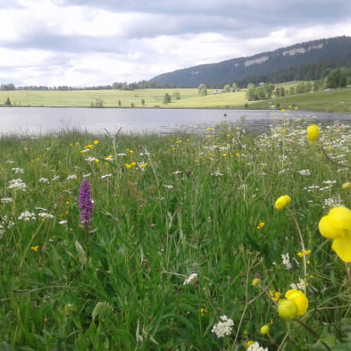 Roche Bernard et Tour des Lacs