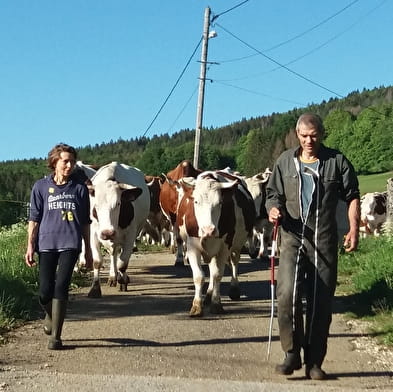 Gîte à la ferme