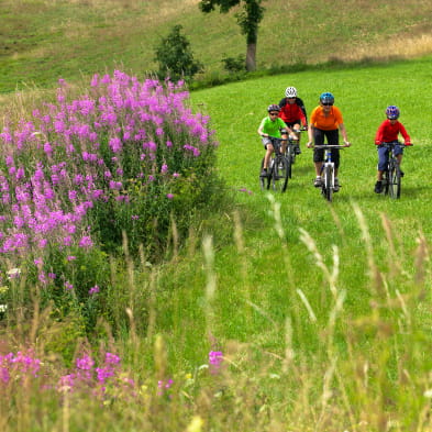 Jura ride 