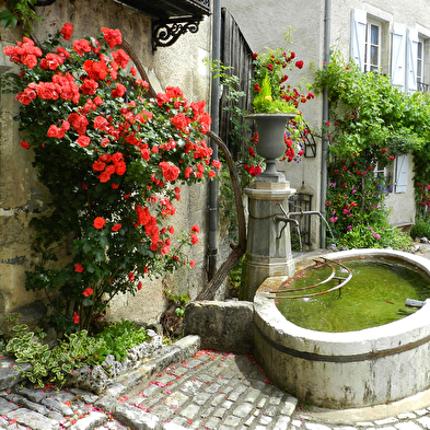 Visite guidée de Lods, plus beau village de France