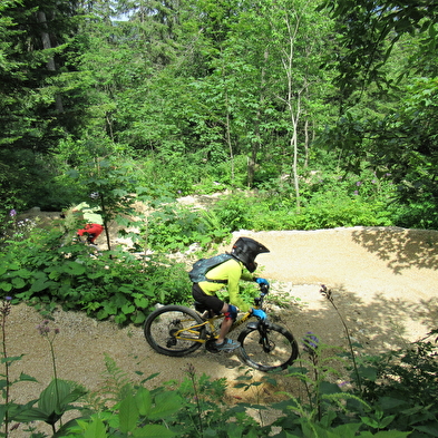 Piste VTT Descente - bleu - la Dégringolée - Espace Ain Forestière