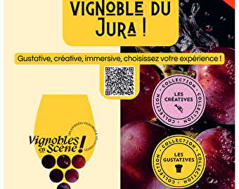 Expérience immersive aux verres noirs - LE VERNOIS