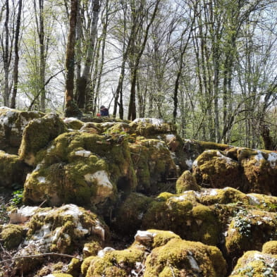 Sentier karstique du grand bois et grotte Maëva