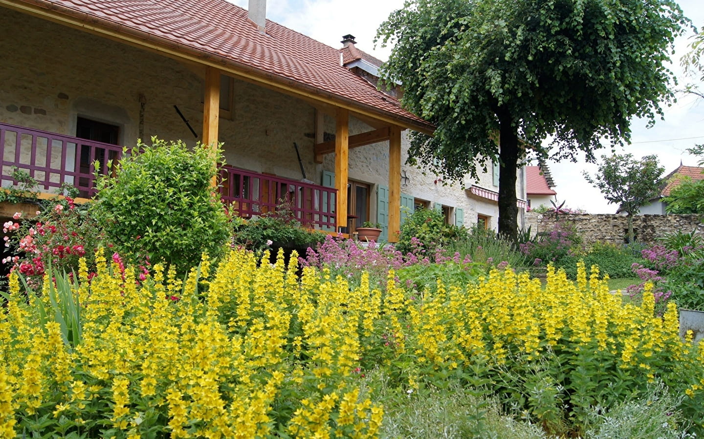 Chambres d'hôtes Le Sorbier