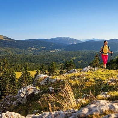 3 jours d'itinérance dans le Haut-Jura - Le lynx intrépide
