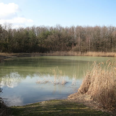 Etang de Colovrex, ENS de l'Ain