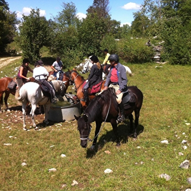 Découverte poney/cheval au Ranch des Balmettes