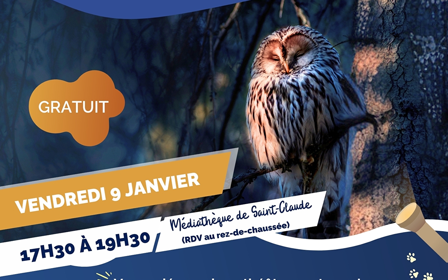 Balade nocturne au coeur de la nature