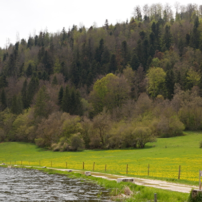 La boucle d'initiation du Tour des marais - Parcours marche nordique n°10