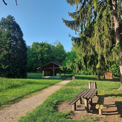 La forêt de Rothonne