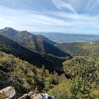 Randonnée pédestre et activités 'nature' avec Impulsion - PLATEAU D'HAUTEVILLE