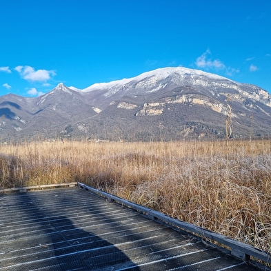 Sentier nature du Marais de Lavours