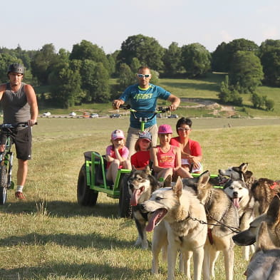 Free sled - Chiens de traîneaux / cani-rando et cani-trotinette