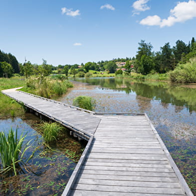 Baignade au plan d'eau de Lalleyriat