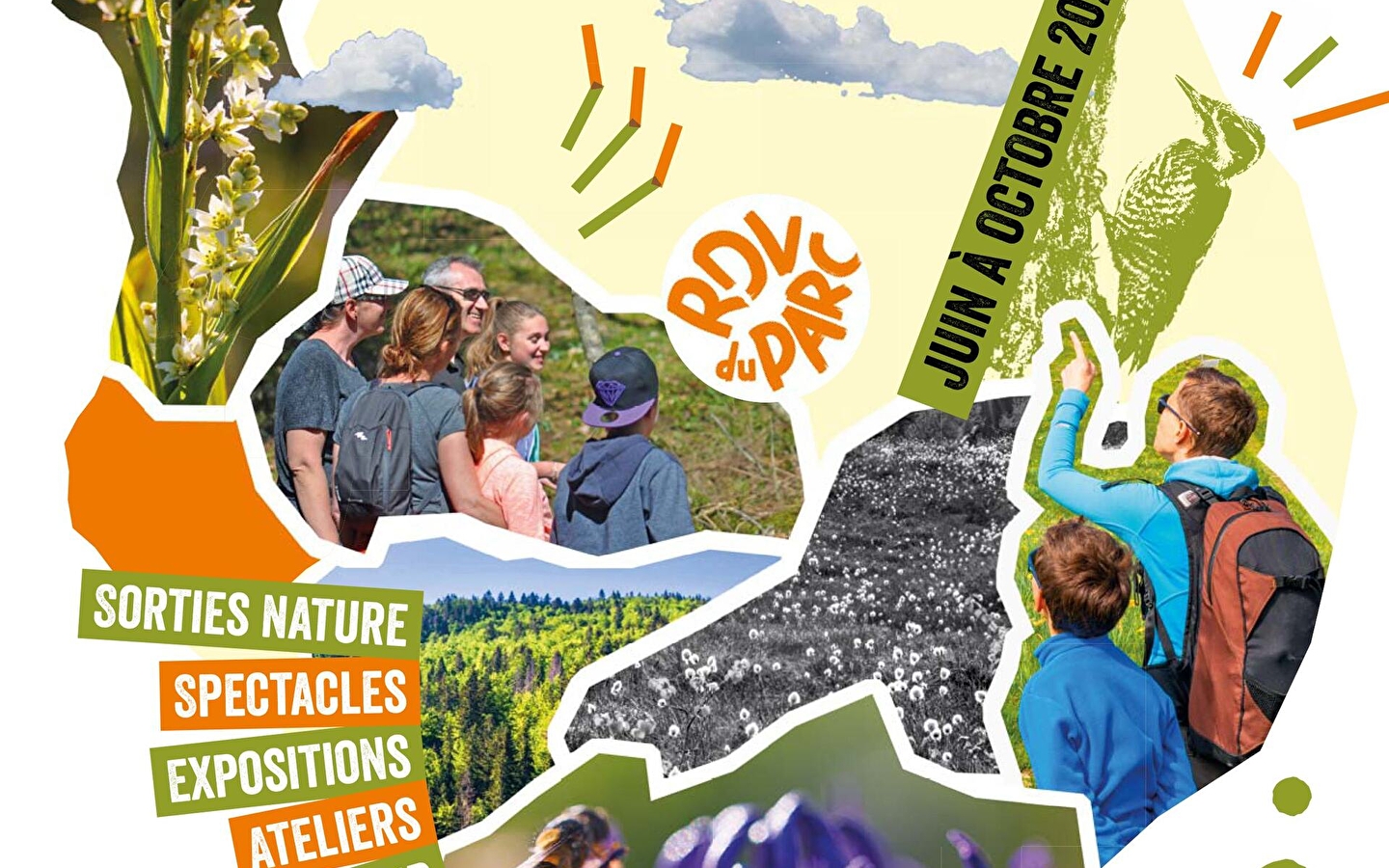 Atelier créatif : 'L’art d’imprimer la nature'