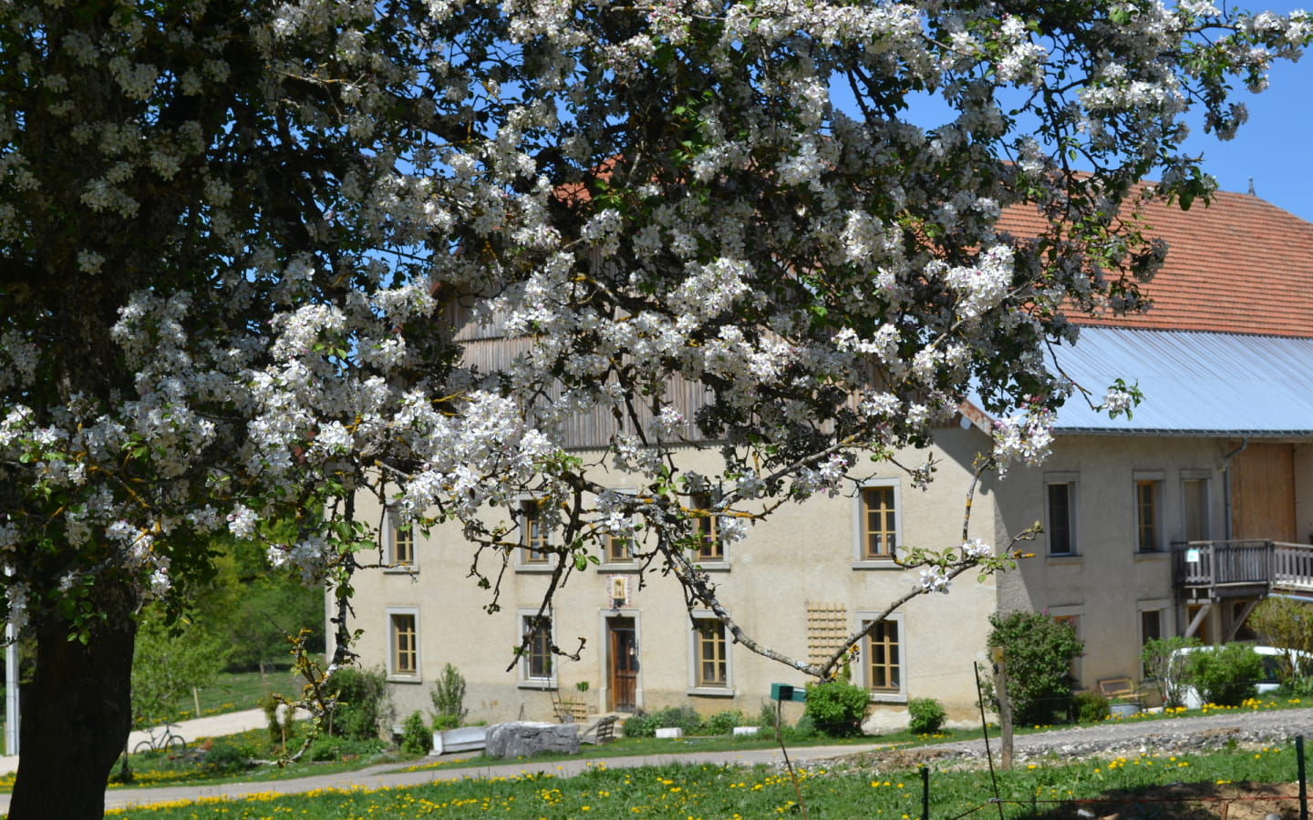 Appartement - La Grange des Sapins