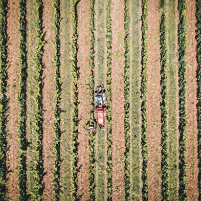 Domaine Laura Bourdy