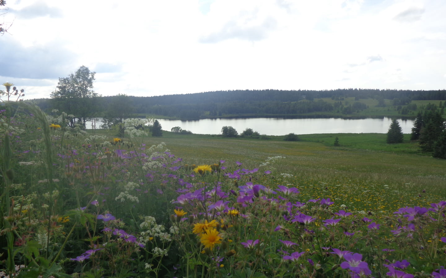 Belvédère sur les Lacs