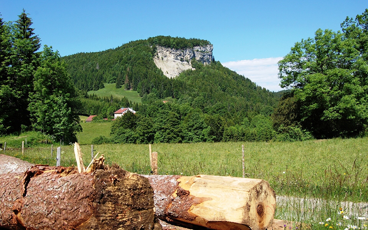 GRP Tour de la Haute Bienne