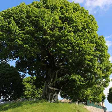 Randonnée du Mollard de Don