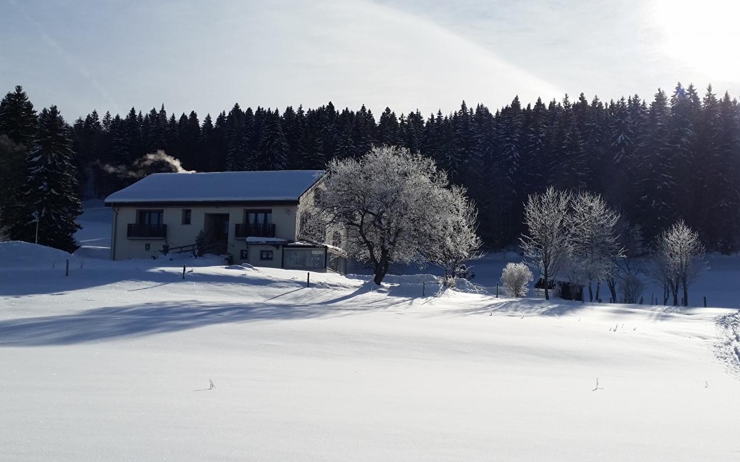 Appartement Le Chevreuil - MV Vacances