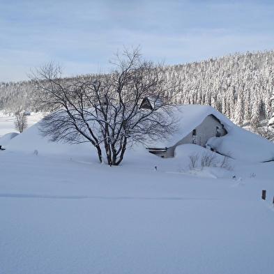 Visite guidée de l'écomusée Maison Michaud