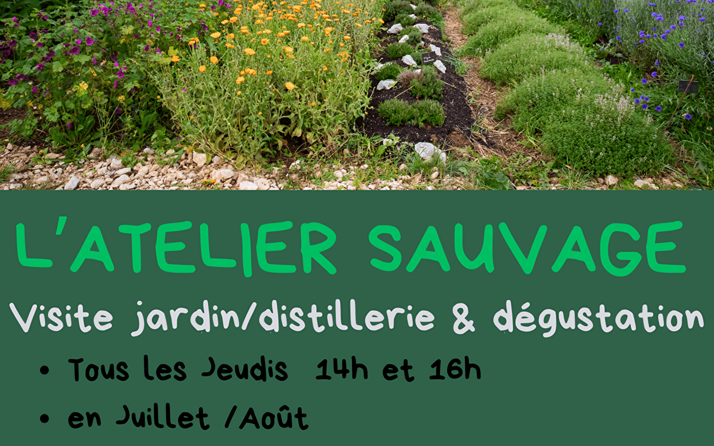 Visite jardin/distillerie/dégustation 