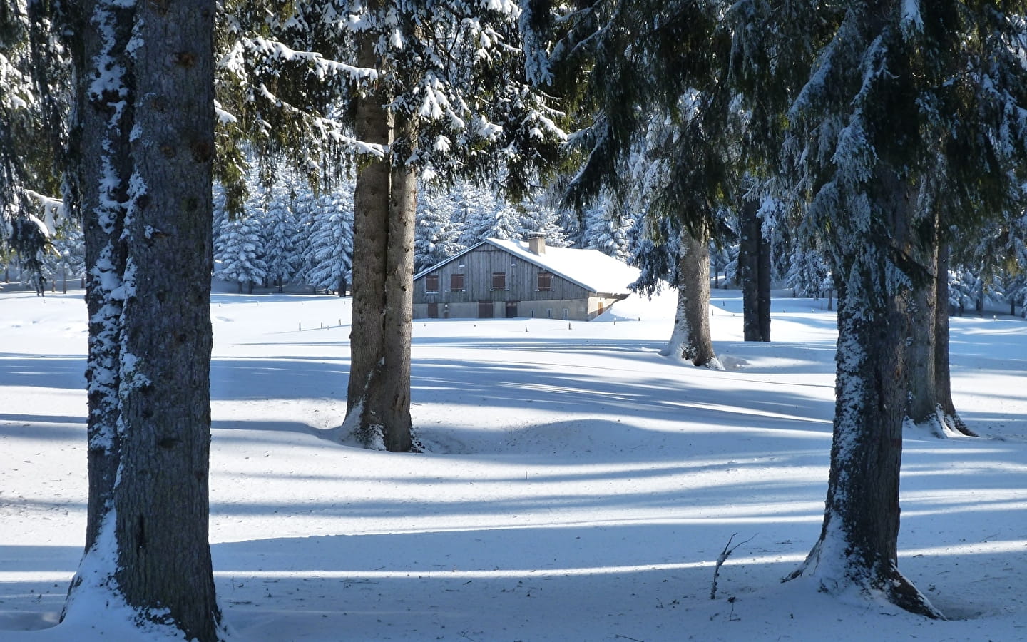 Site Raquettes de Mouthe - Chez Liadet - Les Combes Derniers