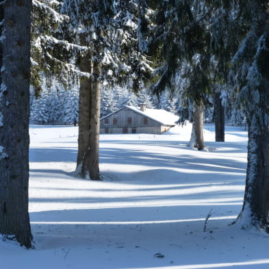 Site Nordique de Mouthe - Chez Liadet