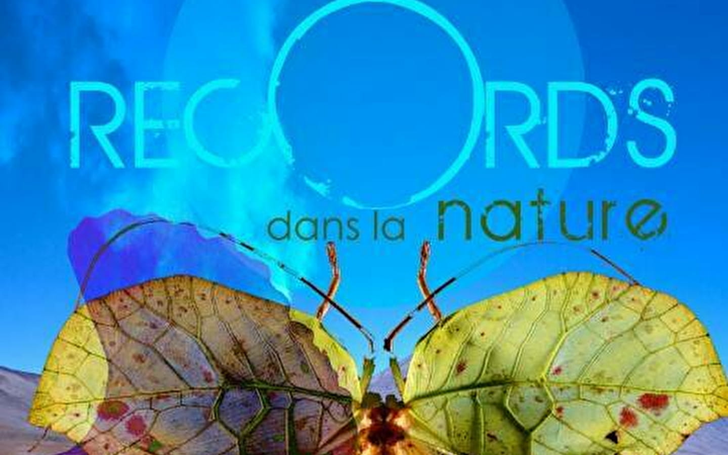 Exposition 'les records dans la nature'