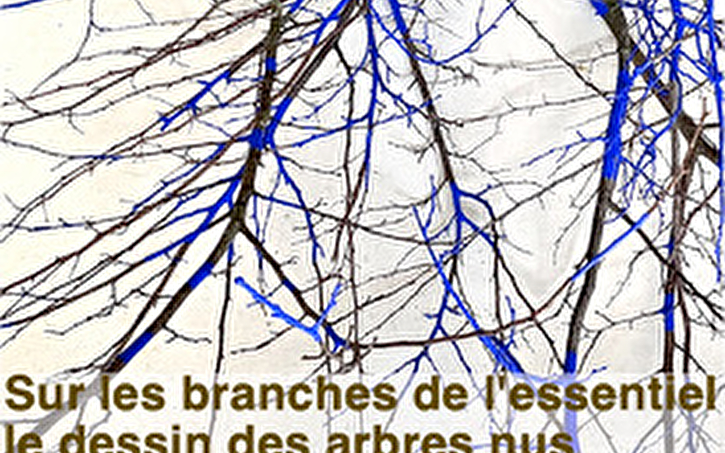 Exposition à la Villa