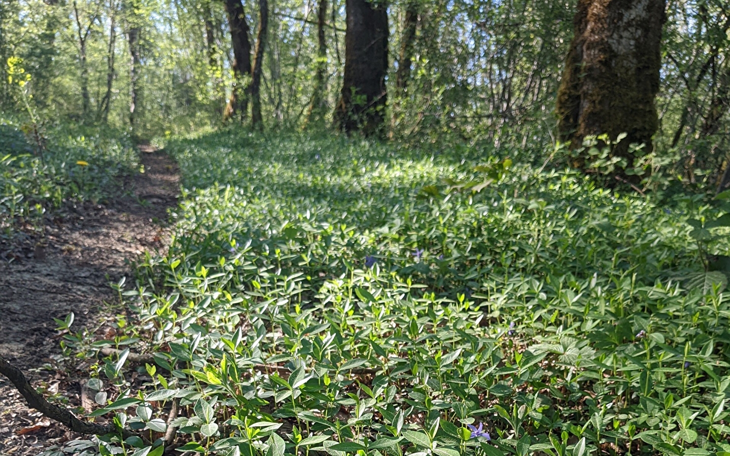 Sentier des dolines