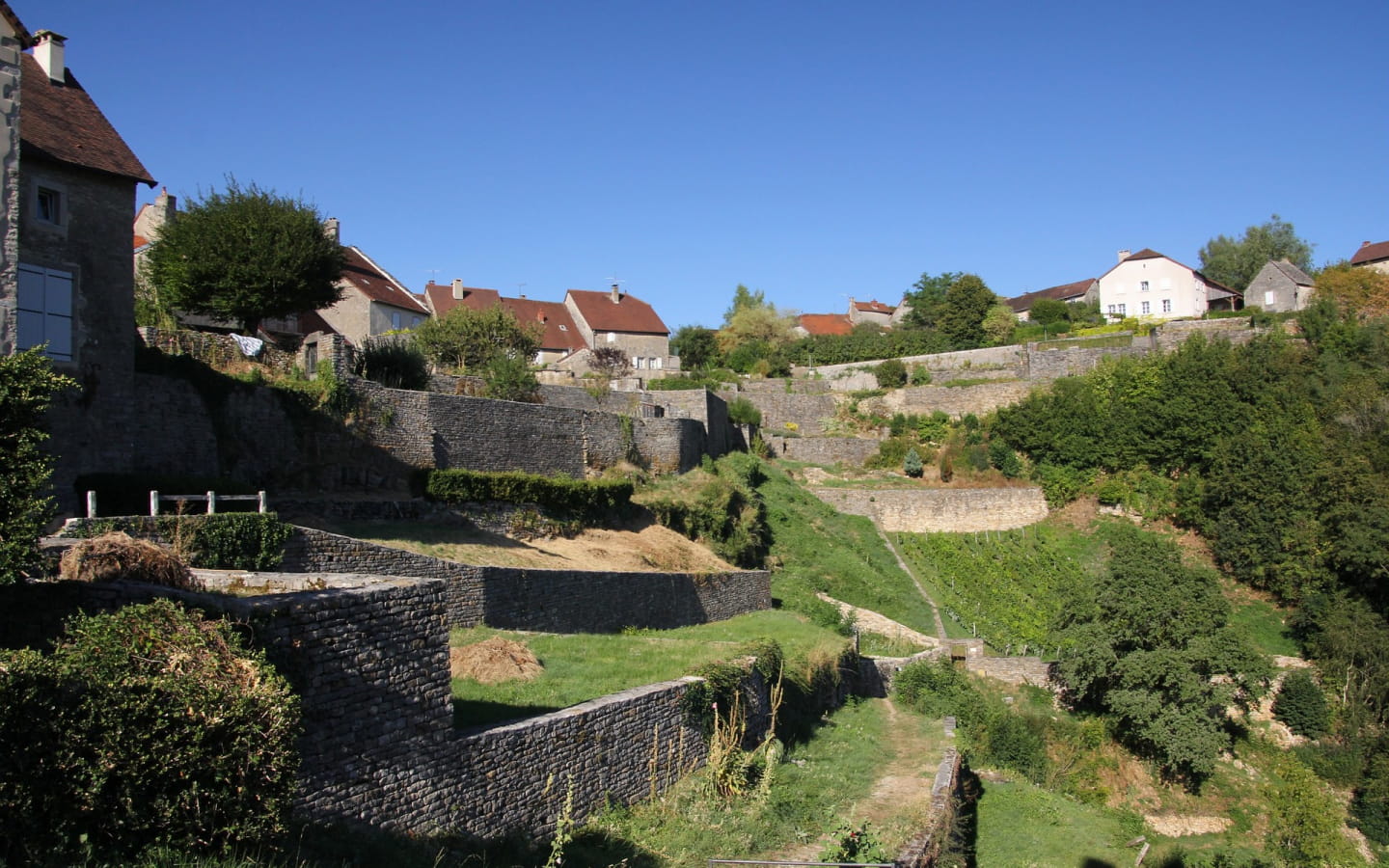 Le Vignoble du Château-Chalon