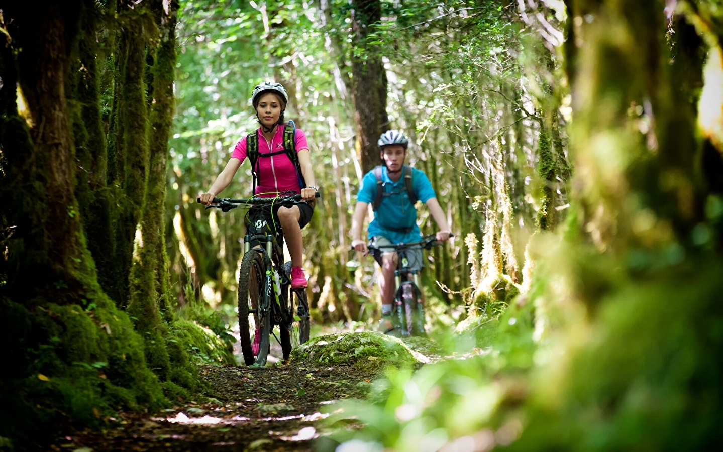 Tour de la Grande Forêt - 110R