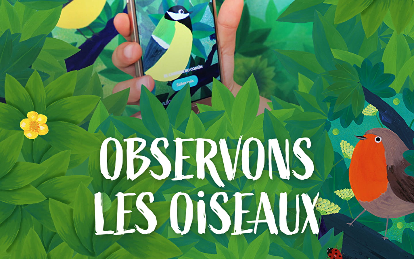 Exposition - Observons les oiseaux