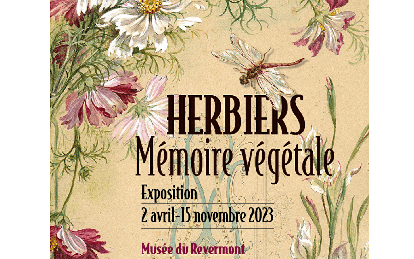Expositon Herbiers. Mémoire végétale au musée du Revermont