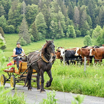 En été, promenade en calèche - MIJOUX