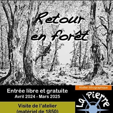 Retour en forêt