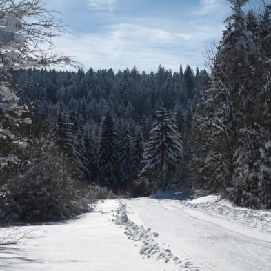 Site Nordique de Saint-Pierre Trémontagne