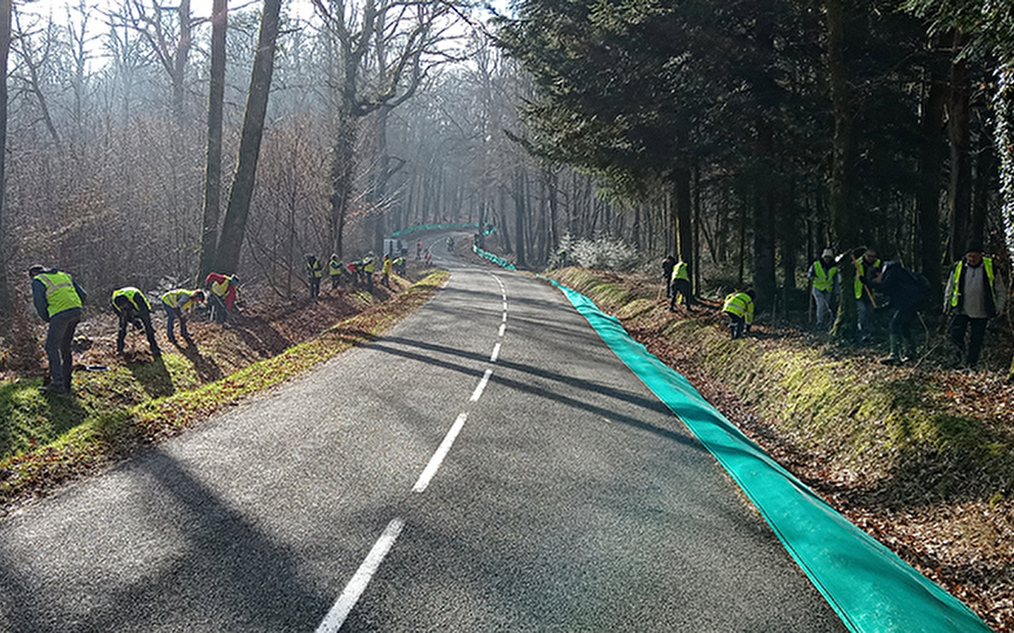 Sauvegarde des amphibiens à Vorges-les-Pins