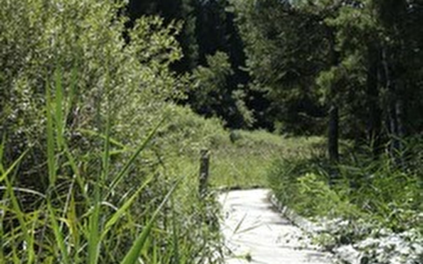 Marais des Lèches