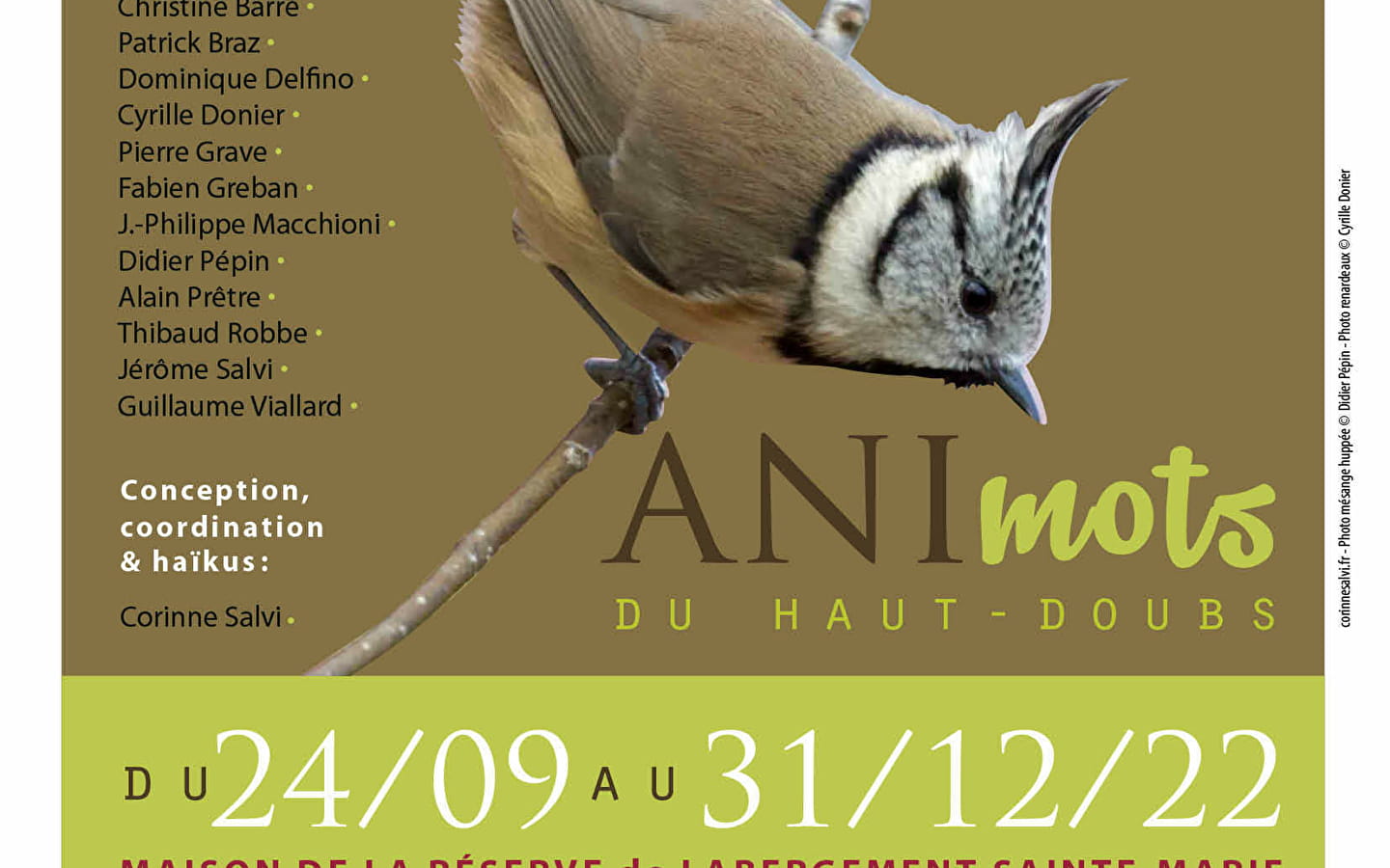Exposition artistique - ANImots