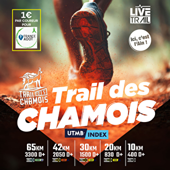 Trail des Chamois - COLIGNY
