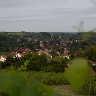 Domaine Hughes Beguet