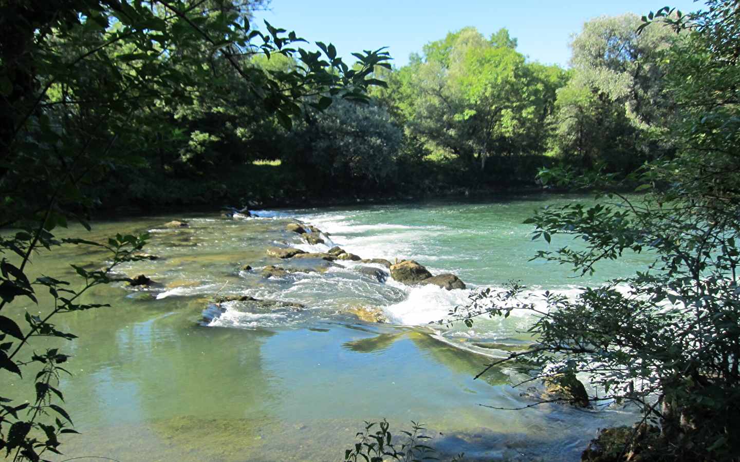 Zone humide de Chissey-sur-Loue