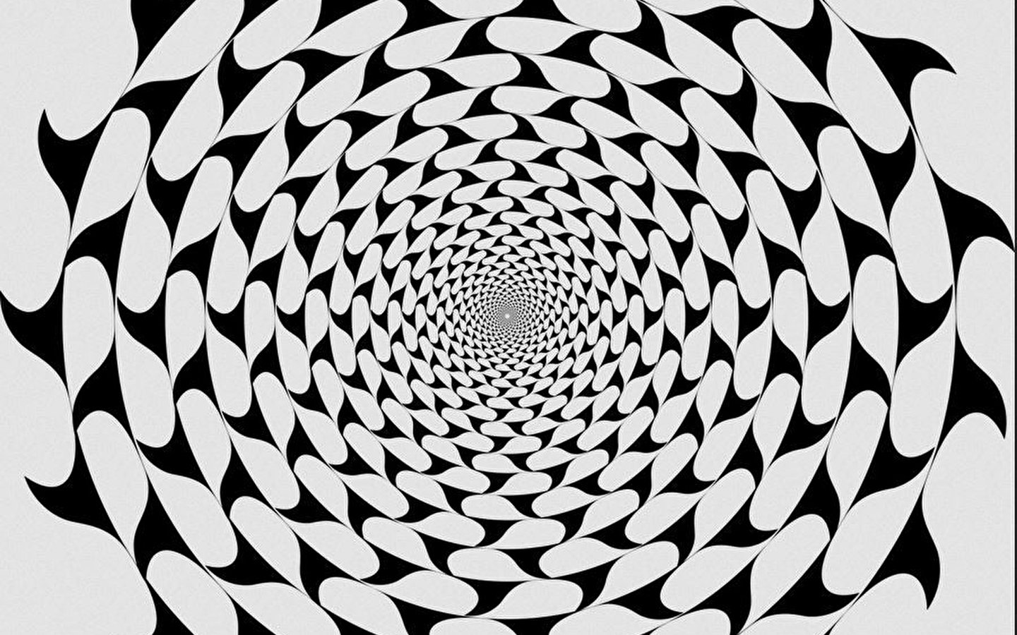 Atelier famille - Illusions d'optique