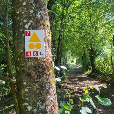Circuit Gravel n°6 (rouge) Chemins des bois de Bresse