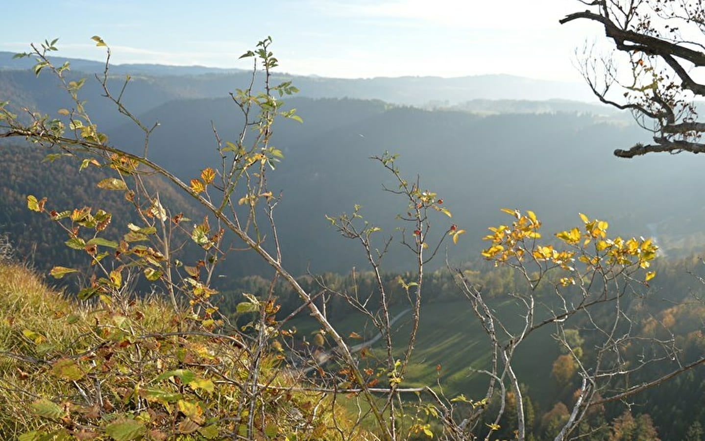 Belvédère la Cendrée